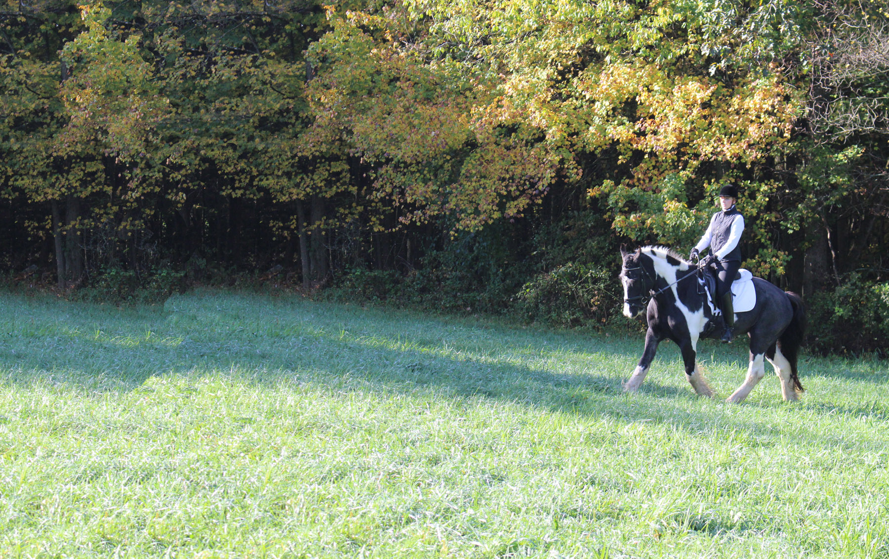 HaySoakR in use